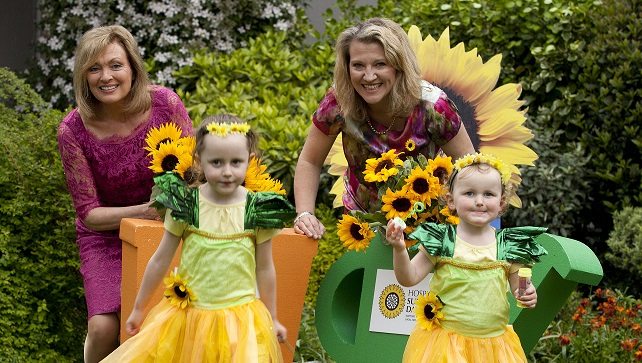 Sunflower Days 6 7th June Support Your Local Hospice Irish Hospice Foundation 